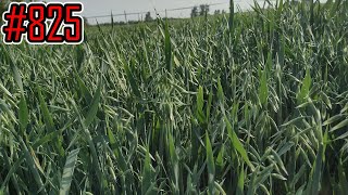 wides.pl oqd_mbdYC7M 