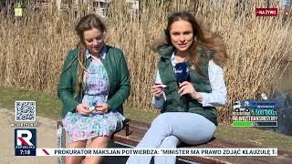wides.pl p1DIps-x5gs 