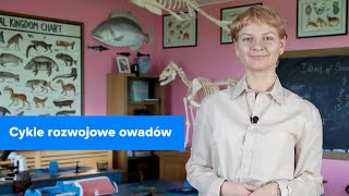 wides.pl p65BSleDSgE 