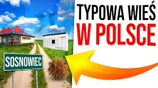 wides.pl pL_YDT91GZk 