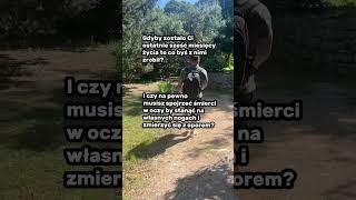 wides.pl pPj34VyXFvc 