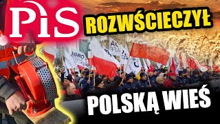 wides.pl pZRJt8XDHlY 
