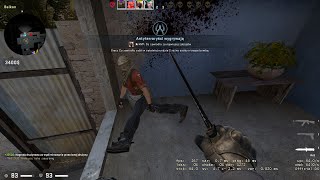 wides.pl pbHGsFcawpA 