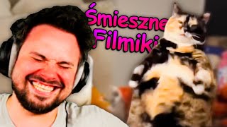 wides.pl pq7BHzQnhFQ 