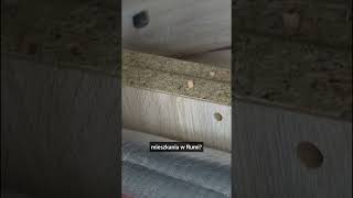 wides.pl prT9szT0hKw 
