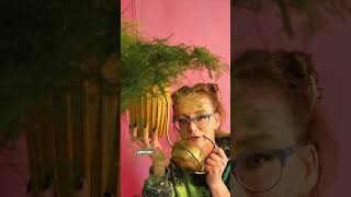wides.pl q8VwCuLm2fk 