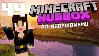 wides.pl qCzg8PvpsXE 