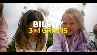 wides.pl qFz9fsRF9bc 