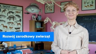 wides.pl qMU_Vg99fls 