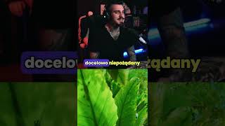 wides.pl qzvZ7jCIKc8 
