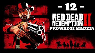wides.pl r-zGfp5iYds 
