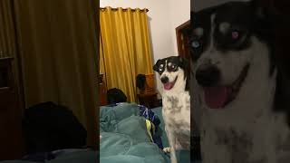 wides.pl rPGqZau4naM 
