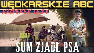 wides.pl rZbrO4pfvL8 