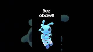 wides.pl sebrtWRl4VY 
