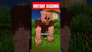 wides.pl t4puso_iQMY 