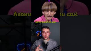 wides.pl tCisythCbDg 