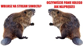 wides.pl tESg3tyW8_o 