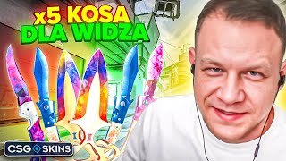 wides.pl tIJulCrzFcg 