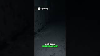 wides.pl uGQj5QVMO-s 