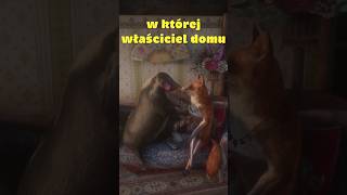 wides.pl uLafFqVhi3k 