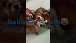 wides.pl vAwNhhBtNEs 