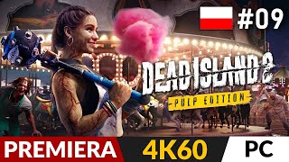 wides.pl vXrOEuuDRjs 