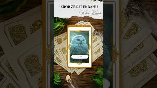 wides.pl vcNl1BFxxjQ 