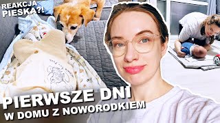 wides.pl vhZLz4RJMzo 