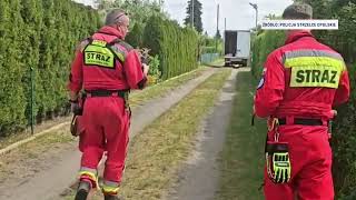 wides.pl vlkEEPSg-IA 