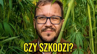 wides.pl wZ0NrAZPOvU 