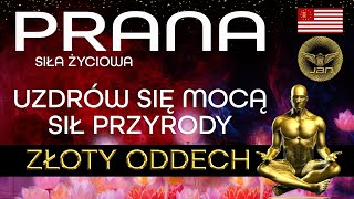 wides.pl wvf8LqvdQZw 