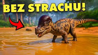 wides.pl xfmz7qsi7nE 