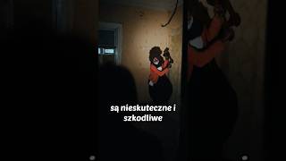 wides.pl xi8YHupqr-0 