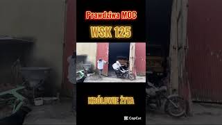 wides.pl yOxy1uRUTjk 