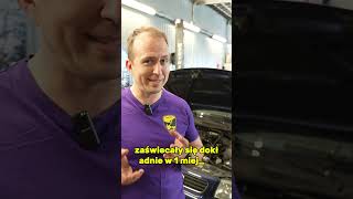 wides.pl yPxQM3QyqYE 