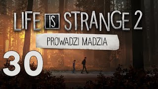 wides.pl yVRReJdoFbg 