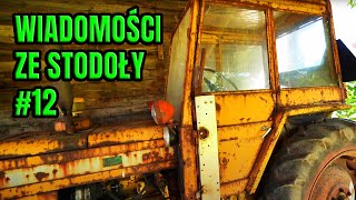 wides.pl yl03Ha0boXw 