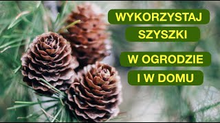 wides.pl z8qfJ95V9Yo 