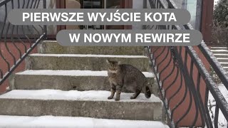 wides.pl zIhfG3ZA_rY 