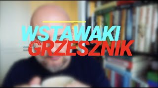 wides.pl zdIDj8LaOL0 