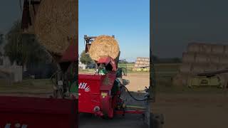 wides.pl ztno6h1rj2s 