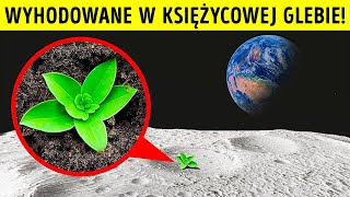wides.pl zwRgVZnPEsw 